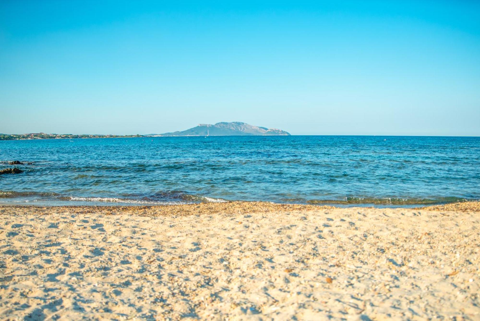Sardegna Vista Mare E Piscina Olbia Extérieur photo